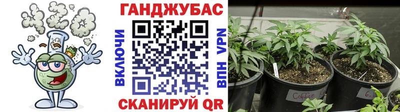 Купить наркотик Вытегра ГАШИШ  Конопля  АМФ  МЕФ 