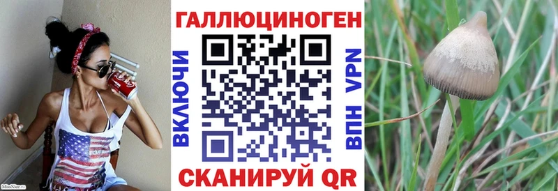 Псилоцибиновые грибы Cubensis  кракен зеркало  Вытегра 